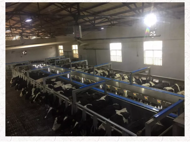 1509010110940124.png blob.png