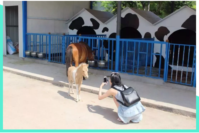 1536637769110537.png blob.png