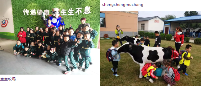 1579166691332565.png image.png