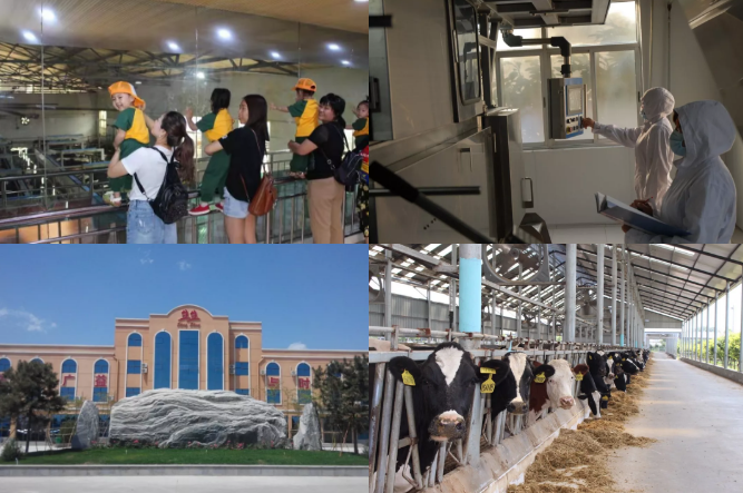 1579166757929152.png image.png